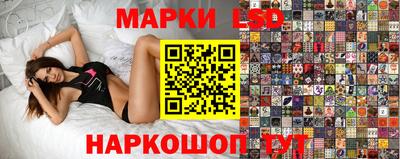 шишки Лесной