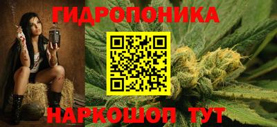 шишки Лесной