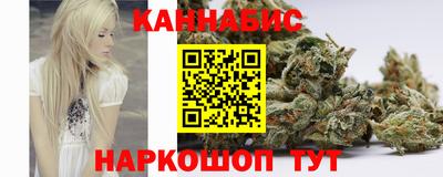 шишки Лесной